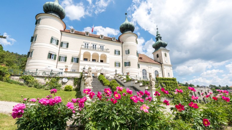 Südseite mit Schloss-Cafe-Terrasse mit Pfingstrosen, © Schloss Artstetten