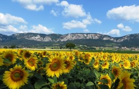 Hohe Wand Naturpark, © Naturpark Hohe Wand