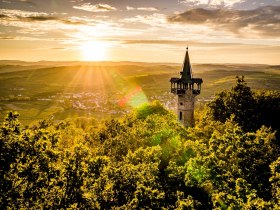 Riesling-Tour, Kamptalwarte, © POV