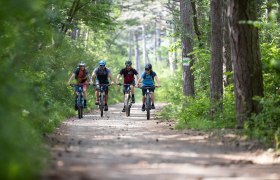 MTB Wienerwald, © Wienerwald Tourismus GmbH / Markus Frühmann