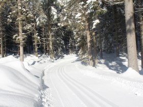 Verbindungsloipe, © Waldviertel Tourismus