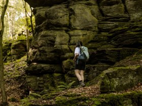 Im Dunkelsteinerwald, © Wachau-Nibelungengau-Kremstal