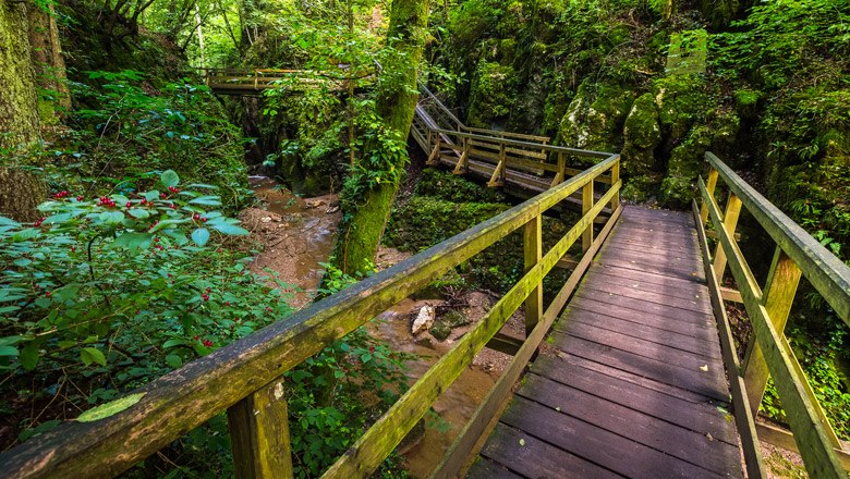 Die Johannesbach-Klamm, © Wiener Alpen, Christian Kremsl