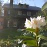 Rhododendronblüte, © Karin Stranz