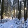 Winterwandern im Weinsbergerwald, © Dieter Juster