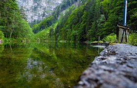 Mittersee, © mostmedia, Rene Jagersberger