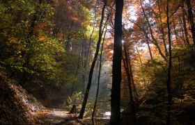 Hagenbachklamm, © Wienerwald