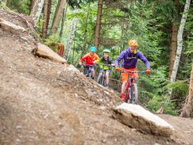 Uphill Flowtrail by Wexl Trails, © Wexl Trails