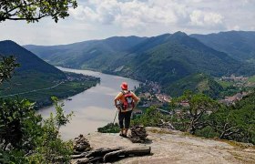 Am Michaelerberg mit Blick Richtung Spitz, © Franz Hauleitner