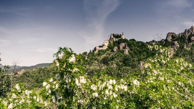 Dürnstein im Frühling, © Robert Herbst