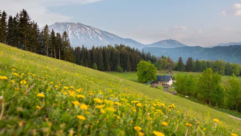 Hochbärneck, © Gemeinde St. Anton/J.