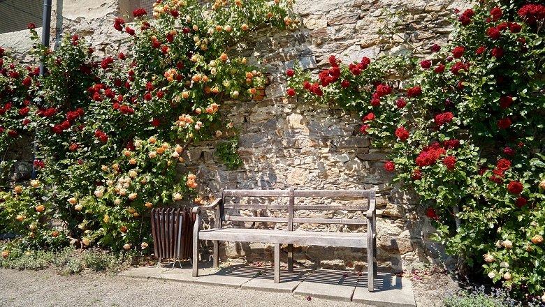 Sitzplätze unter Rosenpracht, © Lichtstark