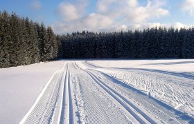 Aktivwelt Freiwald, © Klaus Tannhäuser