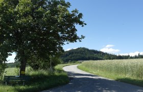 Toberspitzweg, © Marktgemeinde Nöchling