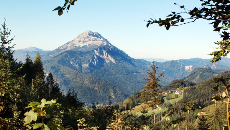 Ötscherblick von Gösing, © weinfranz.at