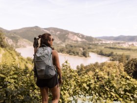 Welterbesteig Wachau, Blick auf die Pritzenau, © Wachau-Nibelungengau-Kremstal