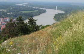 Blick auf Flusslandschaft mit Hügel und Vegetation im Vordergrund., © Gästeinfobüro Hainburg/Donau