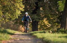 MTB Wienerwald, © Wienerwald Tourismus GmbH/ Markus Frühmann