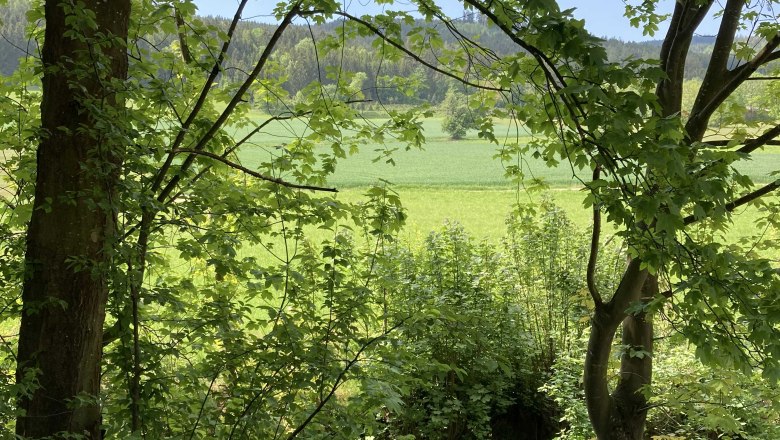 Landschaft rund um Pöggstall, © Frühstückspension Gerstbauer