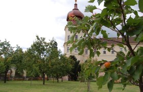 Marillengarten im Stift, © Eveline Gruber