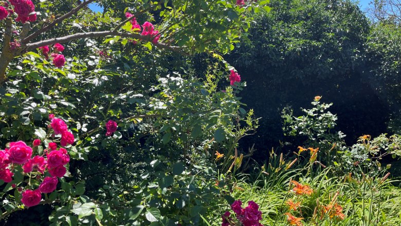 Dornröschen Garten, © "Natur im Garten"