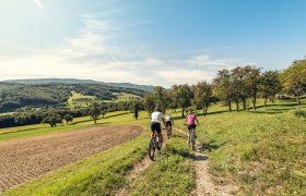 MTB Wienerwald, © Wienerwald Tourismus GmbH / Christoph Kerschbaum