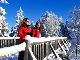 Naturpark Hohe Wand Winterwandern, © ©Naturparke Niederösterreich / www.pov.at