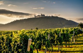 Weinlandschaft mit Stift Göttweig, © Wachau-Nibelungengau-Kremstal