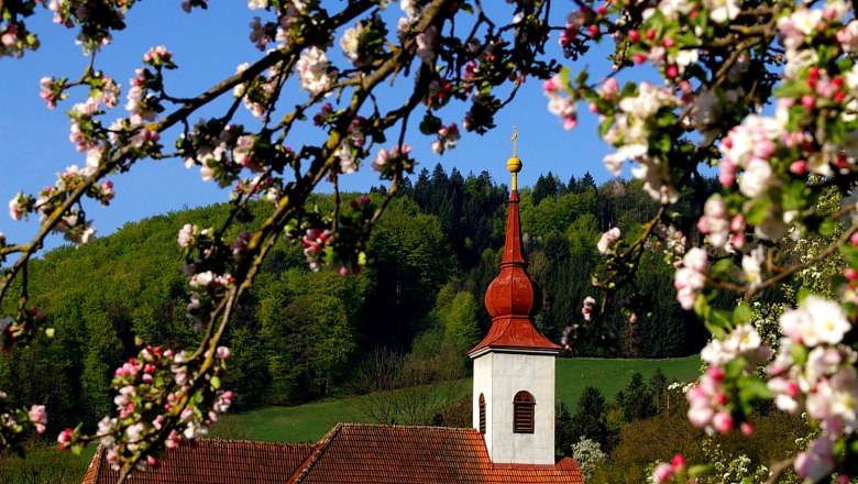 Gemeinde St. Veit/Gölsen, © zVg Gemeinde St. Veit/Gölsen