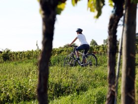 Radfahren in der Region Traisental-Donau, © Mostviertel