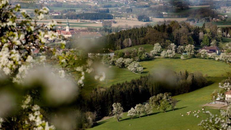 Fotopunkt Stift Seitenstetten, © schwarz-koenig.at