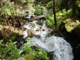 Wildwasser - eine Naturschönheit, © Wiener Alpen/ Florian Lierzer