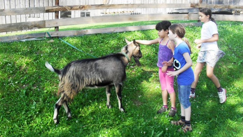 Kinder mit Ziege, © Ferienbauernhof Schierhuber