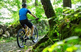 Mountainbiker auf Waldpfaden, © Donau NÖ Tourismus/Barbara Elser