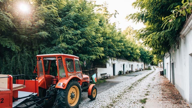 Mit dem Traktor durch die Kellergasse, © Niederösterreich Werbung / Romeo Felsenreich