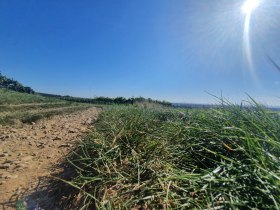 Landschaft, © Wienerwald