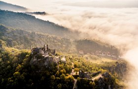 Ruine Dürnstein mit Nebel, © Donau NÖ Tourismus/Robert Herbst