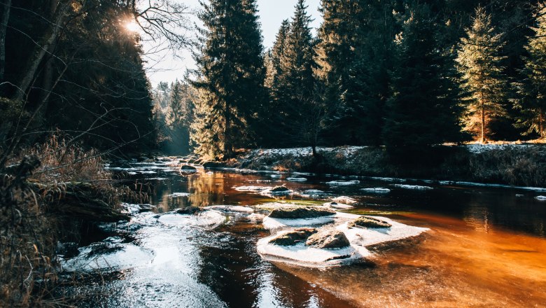 Fluss mit Bäumen und Steine, die mit Schnee bedeckt sind,