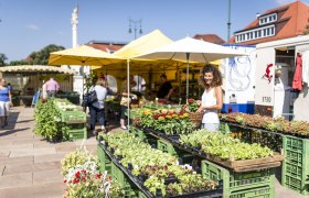 Naschmarkt Tulln, © Robert Herbst