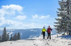 Wechsel-Panoramaloipe, © L&WSV Kirchberg/www.fueloep.com