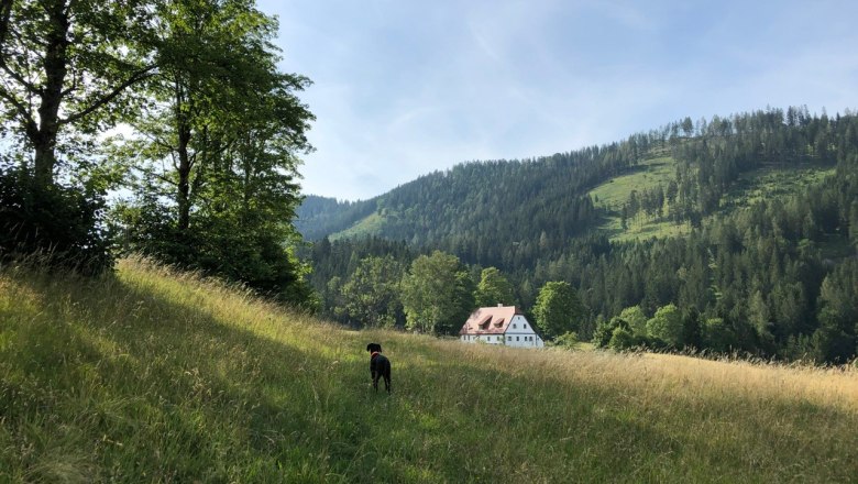 Ferienhaus Hinterbreiteneben, © zVg Johannes Hoyos