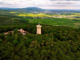 Harzbergturm, © Wienerwald Tourismus