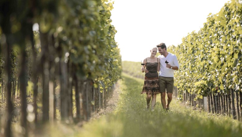 Weinrieden Göttlesbrunn, Römerland Carnuntum, © Donau Niederösterreich, Steve Haider