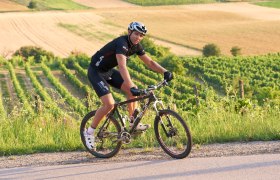 Radfahren im Weinviertel, © Weinviertel Tourismus / Schreiner