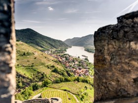 Blick auf Spitz, Ruine Hinterhaus, © Wachau-Nibelungengau-Kremstal