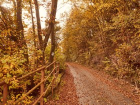 Romantische Wanderwege rund um Leiben im Nibelungengau, © Donau NÖ Tourismus/Klaus Engelmayer