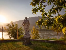 Donau in Spitz, © Wachau-Nibelungengau-Kremstal