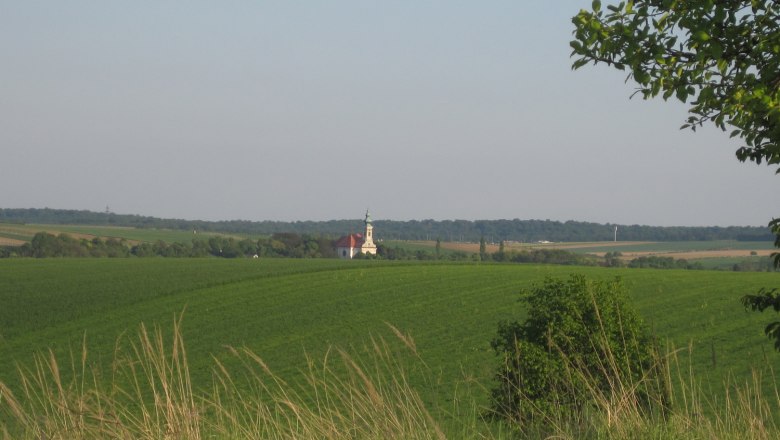 Hochleithen, © Christine Friedl