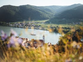 Blick auf Dürnstein, © Wachau-Nibelungengau-Kremstal