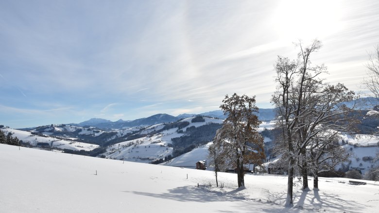 Das Sandlehen im Winter, © Michael Pichler